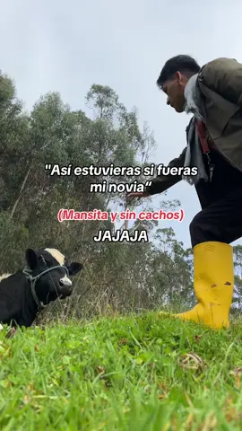 #fyp #frasesteyus #fullchichadelabuena💯😎❤🍃 #jajaja #humor 