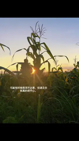 可能有时候我词不达意，但遇见你我真的很开心。#爱情 #文案 #热门 