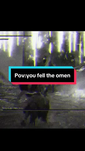 POV:You fell the omen… Clip is from our previous elden ring stream, we are finally approaching the endgame!! Tried out a new editing style just to celebrate defeating Morgott, if you thought it looked interesting please let me know in the comments!! #eldenring #vergil #morgott #streamer #fyp 