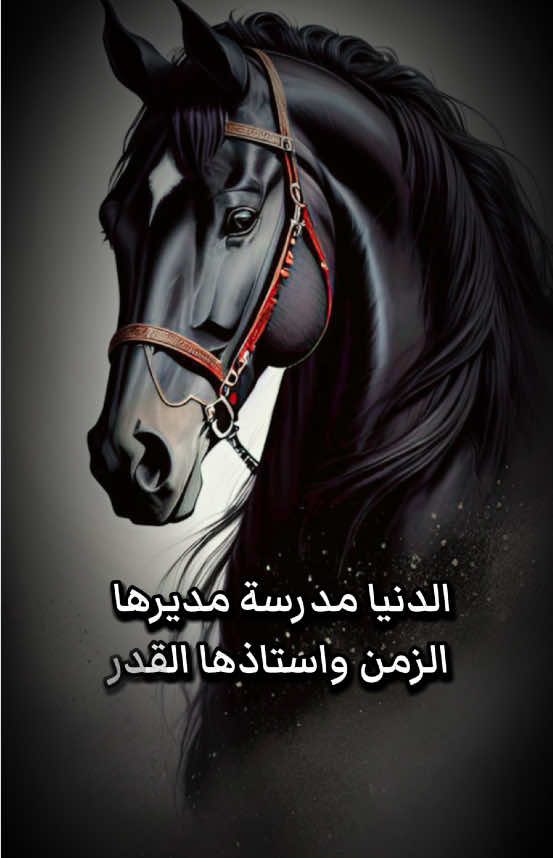 الحياة تُعلّمنا أن الخسارة أحيانًا هي أعظم مكسب…؟ #محتوى_هادف #تحفيزات_إيجابية #تنمية_ذاتية #اقوال_تحفيزية 