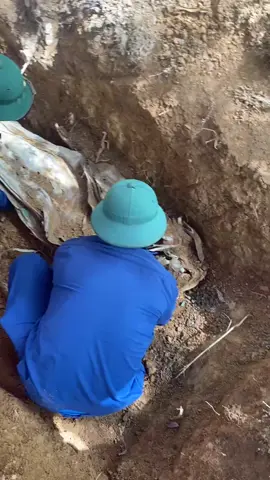 Nhẹ bước chân và nói khẽ thôi.                                                     Cho đồng đội tôi nằm yên dưới cỏ.                                        Trời Quảng Trị trong xanh và gió lộng.                                        Dẫu ồn ào đừng lay động hàng cây