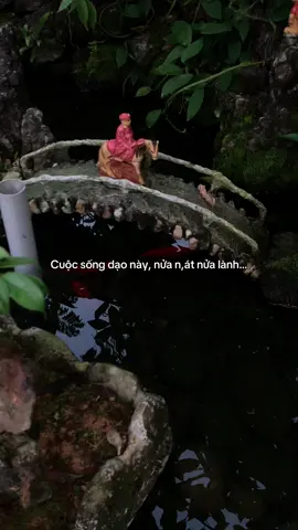 …#tamtrang #story 