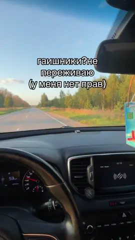 так то я им сосну и отпустят