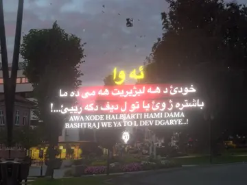 ئه وا خودئ د هـه لبژيريت هـه رده م جوان تره❤️‍🩹 #16soz #القران_كريم #قران #ياسر_الدورسري #محمد_الحيدان 