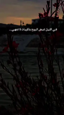 #تصويري #اعادة_النشر🔃 #عباراتكم_الفخمه📿📌 #مشاعركم_هنا 