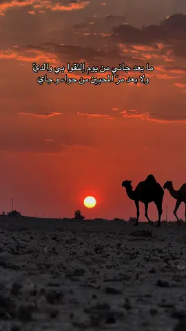 #تصويري📷 #explore #إكسبلور #فلاح_المسردي#سعد_بن_جدلان 