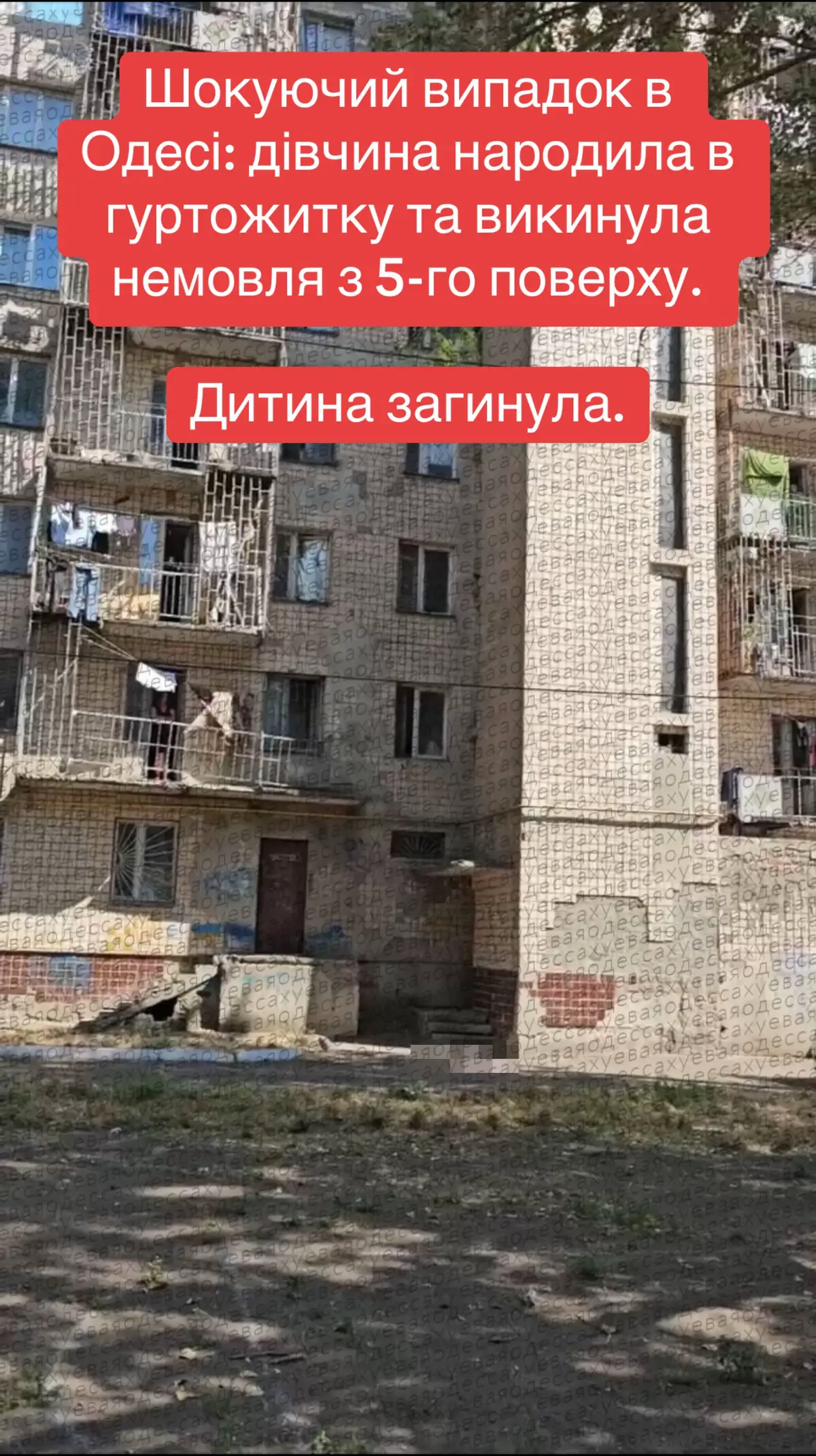 #news #viralvideos #fypage #viral #fyp 
