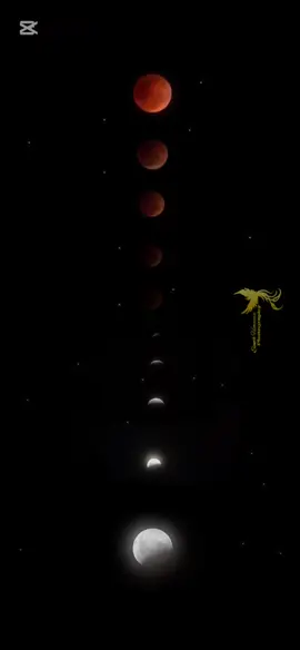 Blood Moon 🌕 #blood_moon_🌑🥀 #sineth_himansa_ #photography #videography #videoviral #foryou #srilanka #nikon 