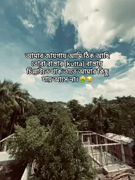 🤮 #maijunlija #bdtiktokofficial🇧🇩 #tiktok #fryou #foryoupage❤️❤️ 