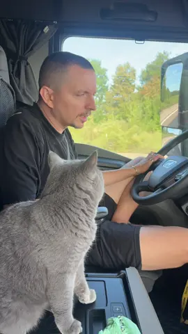Așa ne mai certăm  noi 🥰🥰🥰#bughy #cat #fyp #goviral 