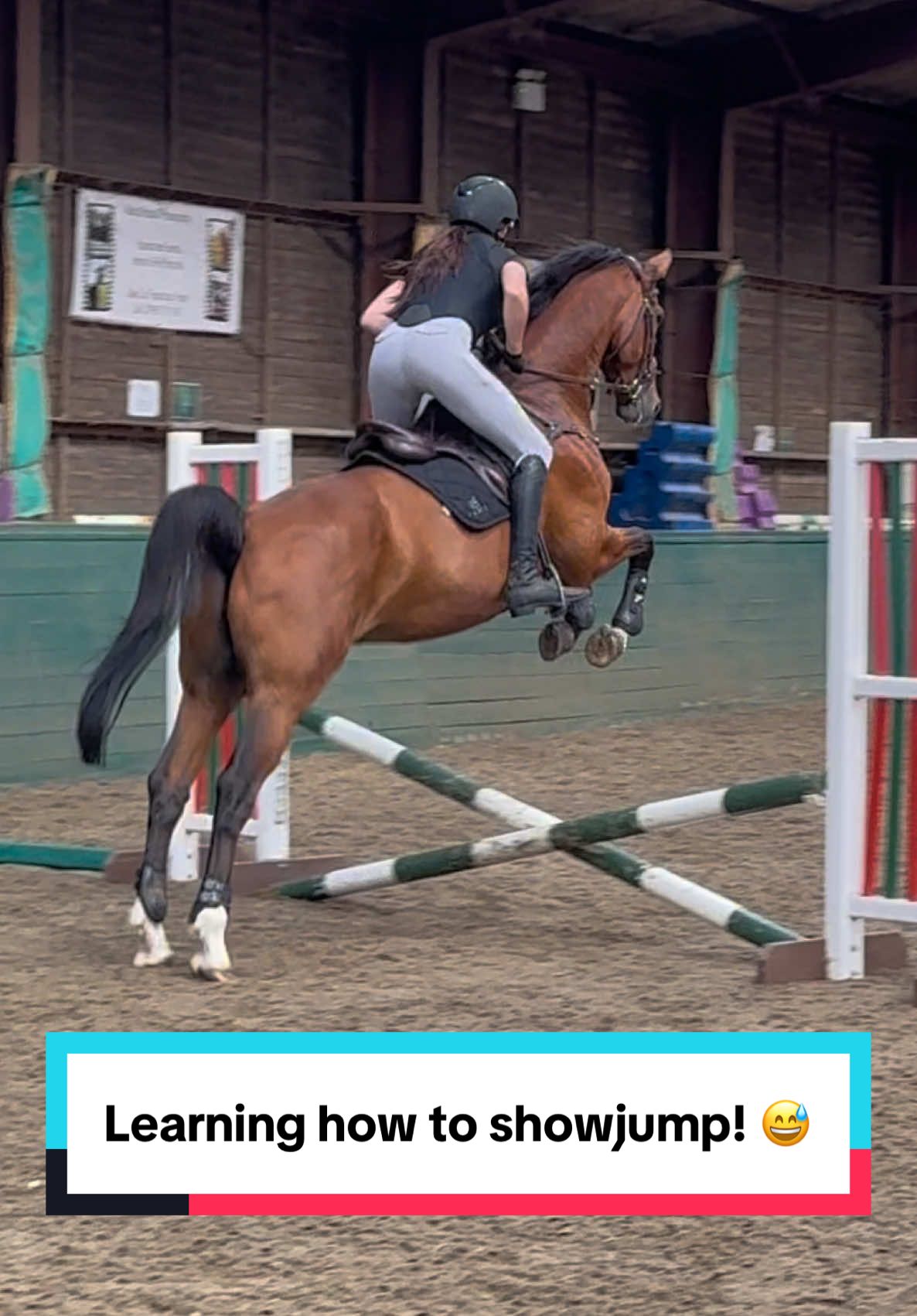 Today’s lesson: waiting and turns in a course 😳 our confidence is coming in leaps and bounds 🥹 @Fager #equestrian #horsegirl #showjumping #abcxyz #equestriantiktok 