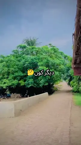 ##ویڈیو_وائرل_کریسو_آپ_ہیں🥀🌼🙈✨🎇🥺💔 ##foryoupage ##foryoupage ##foryoupage @saifisuhrani512 @Shahbazkorai56 @🥷💪 korai🥷baloch💪🥷 @کورائی بلوچ  ▄︻̷̿┻̿═━🤝🤝 @کورائ عرف بلوچستان @Basat korai 786 @Basat Korai 786 @sohail korai🌷 @Ahsan surani 