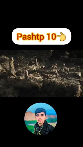 tiktok foryou 10000k pashto 10👈#ppppppppppoppppppp
