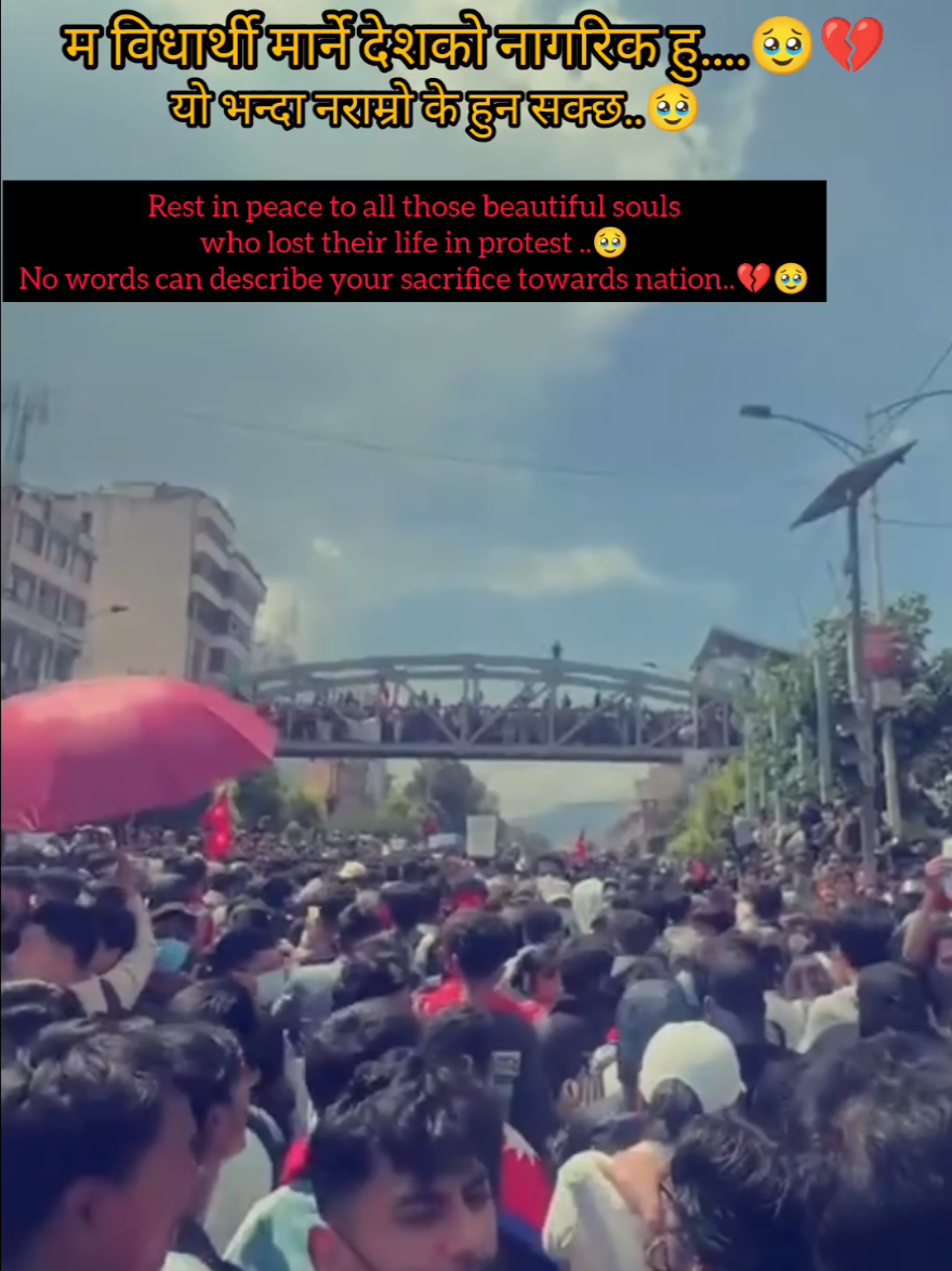 म विधार्थी मार्ने देशको नागरिक हु....🥹💔Rest in peace to all beautiful souls..🥹पाप लागोस.💔🥹#protestkathmandu #government #Genzprotest #saynocorruption  #nepal@#Archu🍁♥️🖇️ @राधा Madam 👩💜 @Sâñìí Adhikari @Aartijaiswal26 @Dimple queen 