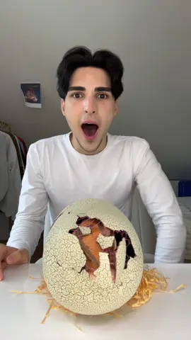 Das ist so cool😂 wie sollen wir ihn nennen?👀