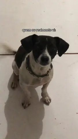 pra sempre o meu biduzinho, te amo, filho, sinto sua falta a todo momento. 