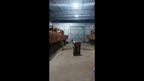 Junior ‼️ Nikmati prosesnya tanpa harus merendahkan lainnya ... 