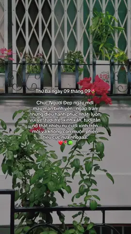 “Vậy nhoaaa🌷” #suyymottchut #viral #fyp 