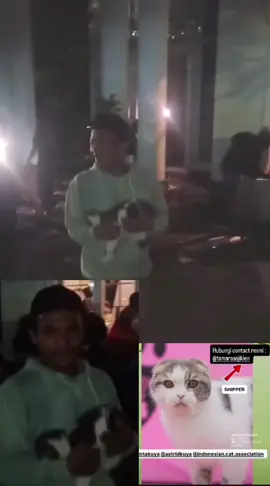 Shipper Cepatlah Kembali! Salah satu kucing kesayangan Uya Kuya yang masih belum kembali setelah insiden penjarahan. Jika ada yang mengambilnya tanpa sengaja, semoga segera menyadari & mengembalikannya ke Uya Kuya dengan keadaan Shipper tetap sehat. @Uya Kuya  #kucinguyakuya #uyakuya #PartaiAmanatNasional #bantupanganbanturakyat #banturakyat 