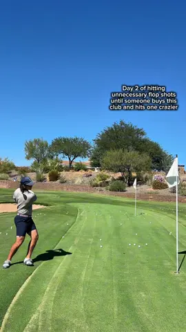 So much fun to play around with. Really helps you understand loft dynamics too!