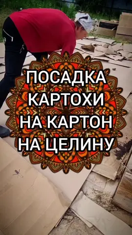 #лайфхак #картошка #огород #урожай 