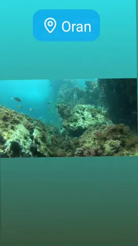 #plongee #diving #scubadiving #plong #e 