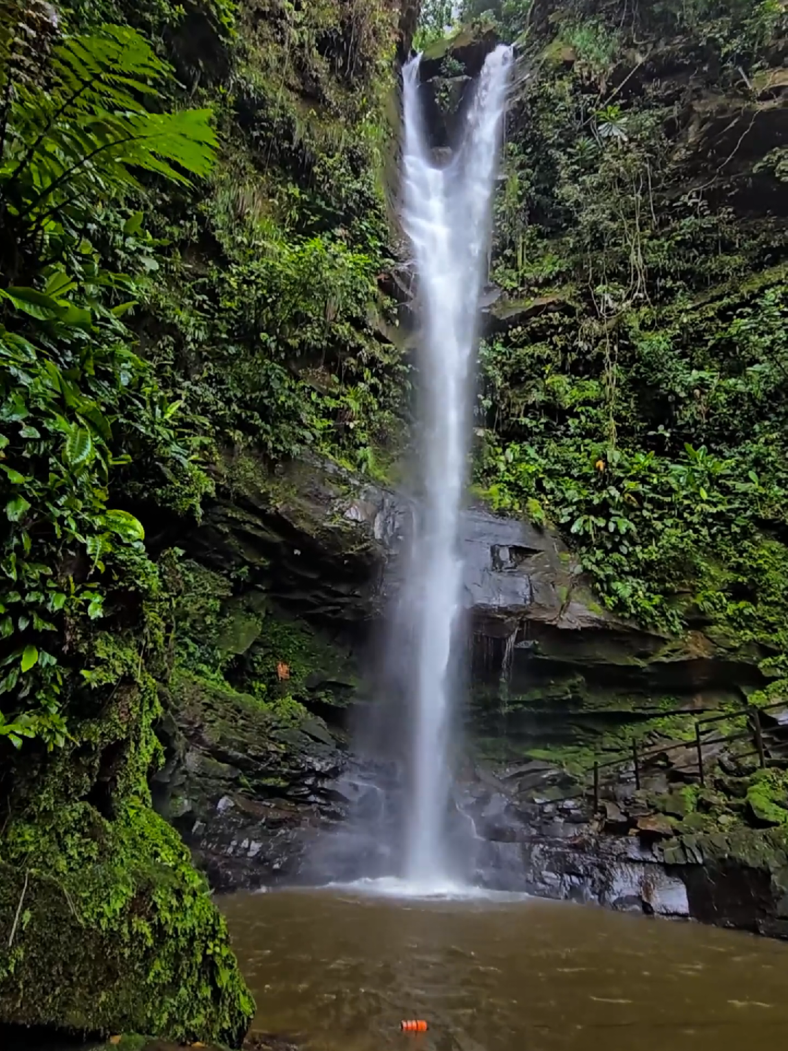 No te pierdas de conocer este impresionante lugar por tan solo 35 sol...es. #924562341 #tarapoto #cataratadeahuashiyacu #selva #waterfall 