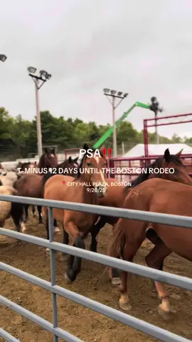 You’re invited to the Boston Rodeo on 9/20🤠 You won’t wanna miss this! Buy your ticket today 🐎 #bostonrodeo #bostontiktok #bostonevents #rodeo #prca 