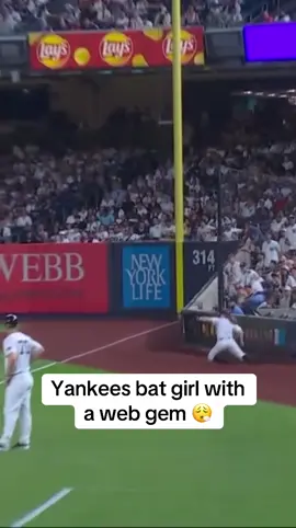 Even Vladdy had to give her props 👏 #MLB #baseball #yankees #catch 