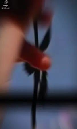 #CapCut 