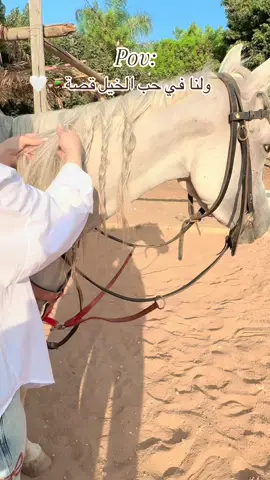 #CapCut #طولكرم #خيل_وخياله🐎 #اسطبل 