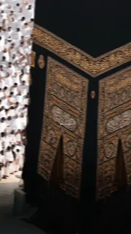 Onâ Âşık olmuş kırmızı gül'ler. 