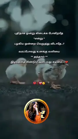 #videoviral_followme_🥺🥺videovairal💕🤏🤏🥺🥺 