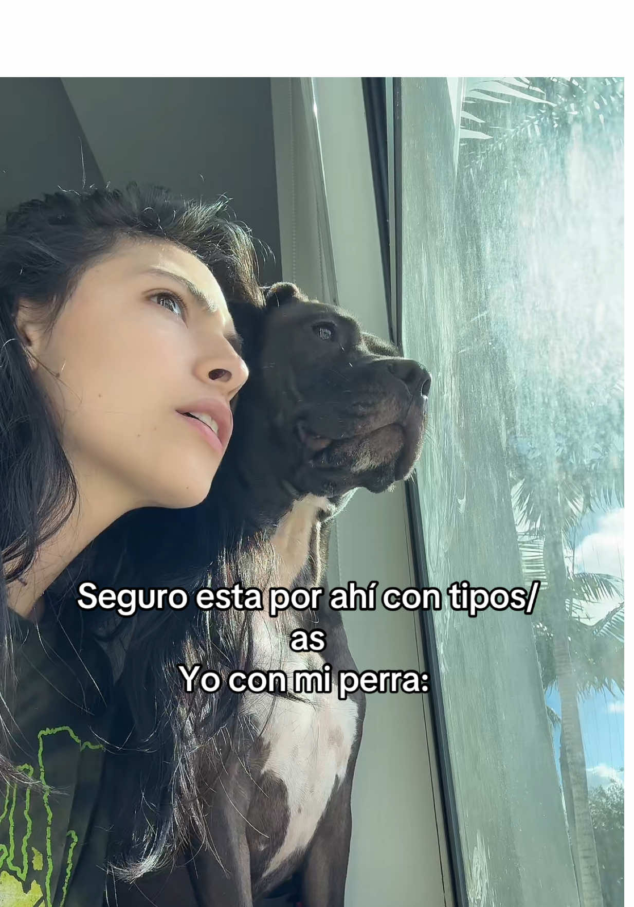 #humor 