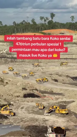 masuk live Koko ya #fyp 