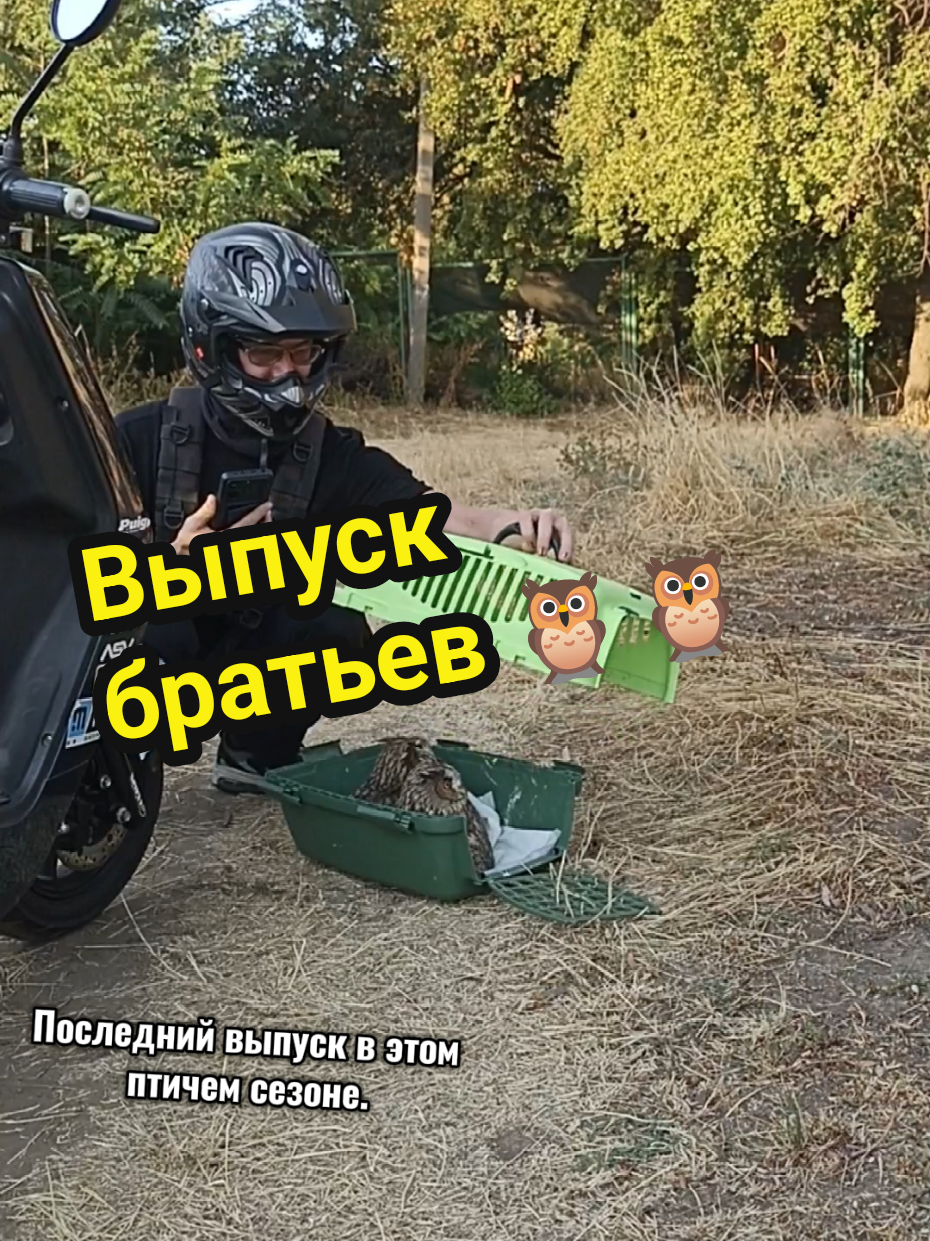 Выпуск наших Братьев 🦉🦉  Декстер и Бандит #fypシ゚ #🦉 #удачи♥️ #карыч #выпускной 
