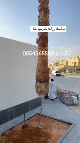 نعمل في جميع مناطق للمملكه نخل واشنطوناء 