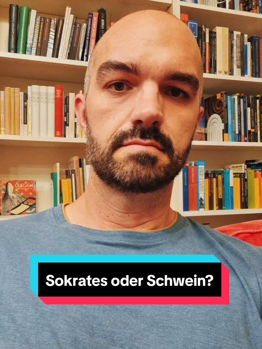 Lieber ein zufriedenes Schwein sein oder ein unzufriedener Sokrates? Ixh würde wohl fürs Schwein gehen... #philosophie #mill #utilitarismus #glück #utobiographie 