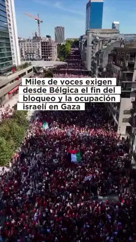 BRUSELAS 🇧🇪 GRITA LIBERTAD PARA PALESTINA🇵🇸 Decenas de miles de manifestantes vestidos de rojo se reunieron este domingo en Bruselas, con el propósito de protestar contra el gobierno Israelí. Además los manifestantes pidieron a los Estados miembros de la UE que tomen una postura más dura e impongas sanciones severas contra a Israel.  Según la Agencia de Noticias Palestina (WAFA), la marcha reunió a más de 140.000 manifestantes, quienes vestían prendas rojas para expresar su rechazo a los crímenes de guerra cometidos contra el pueblo palestino. . . . #franjadegaza #bruselas🇧🇪 #belgica🇧🇪 #israel🇮🇱 #cafeciudadano 