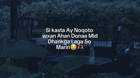 frr😭😍#fyppppppppppppppppppppppp #fy 