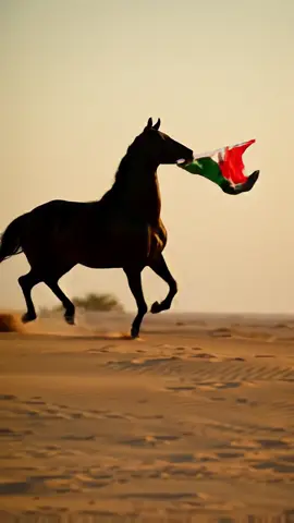 Horse hold Palestine flags #justiceforpalestine #fypシ゚viral #freepalestine #horsesoftiktok #fypシ 
