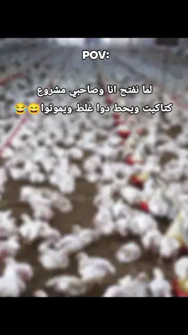😂😂😂😂😂😂😂😂😂😂😂 #foryou #كوميديا #ضحك #الشعب_الصيني_ماله_حل😂😂 #ميمز 