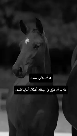 #اكسبلور #العاشق_الخيل🐎#عبارات #اقتباسات #خواطر_للعقول_الراقية 