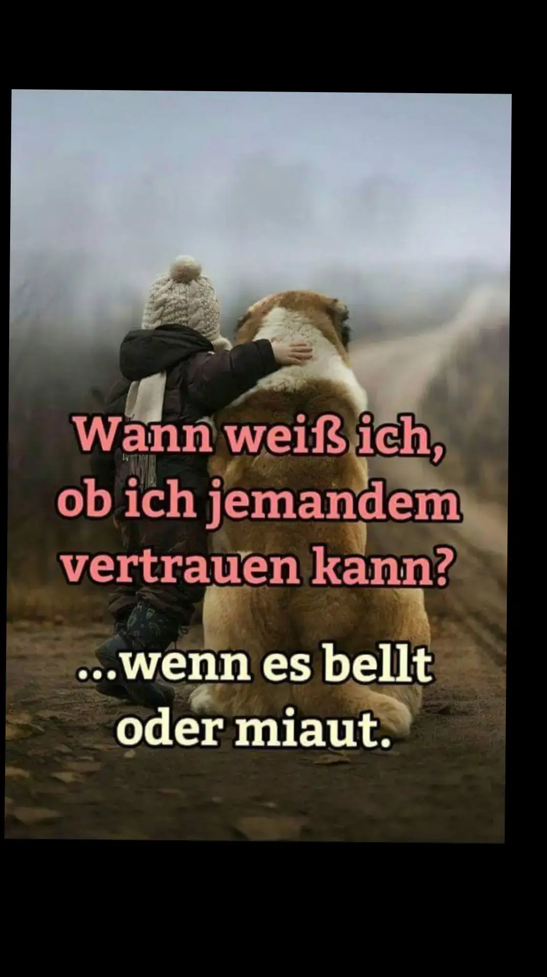 #viralvideos #fyp #fyyyyyyyyyyyyyyyy #viral #animal 