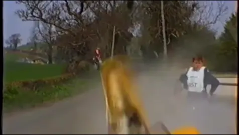 He always was a bit reckless.  Create your own viral videos in seconds with Maken.io! (Link in bio) Dm: ‘maken’ for a discount code. #dog #race #caught #camera 