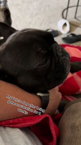 Velcro baby…. ❤️ makes my heart happy! #beauandtankadventures 