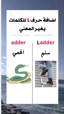 #تعلم_اللغة_الانجليزية 