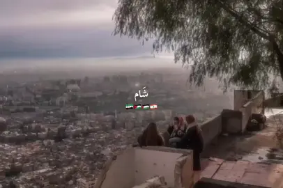 💚 #بلاد_الشاَم #سوريا #فلسطين #لبنان #الاردن 