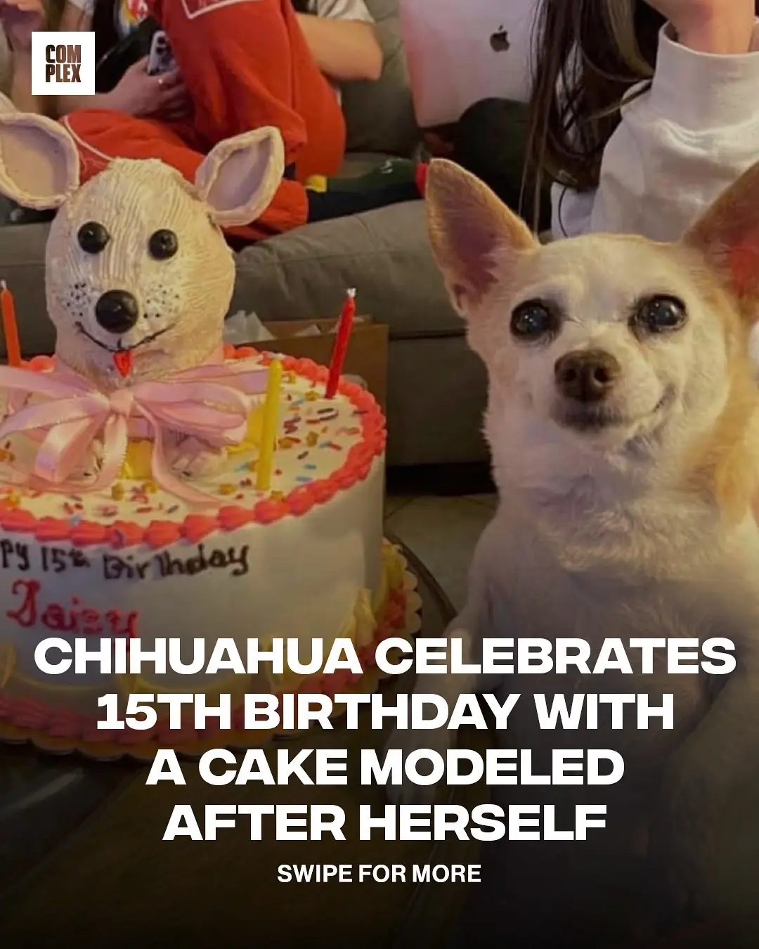 Daisy had a whole quinceañera for her 15th birthday 🎂❤️ [ 📸: @re.trace ]