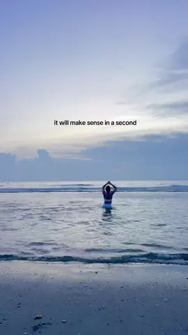 ok, but you see the vision  #sandbar #photoideas #oceanswim #wheelpose #fyp 